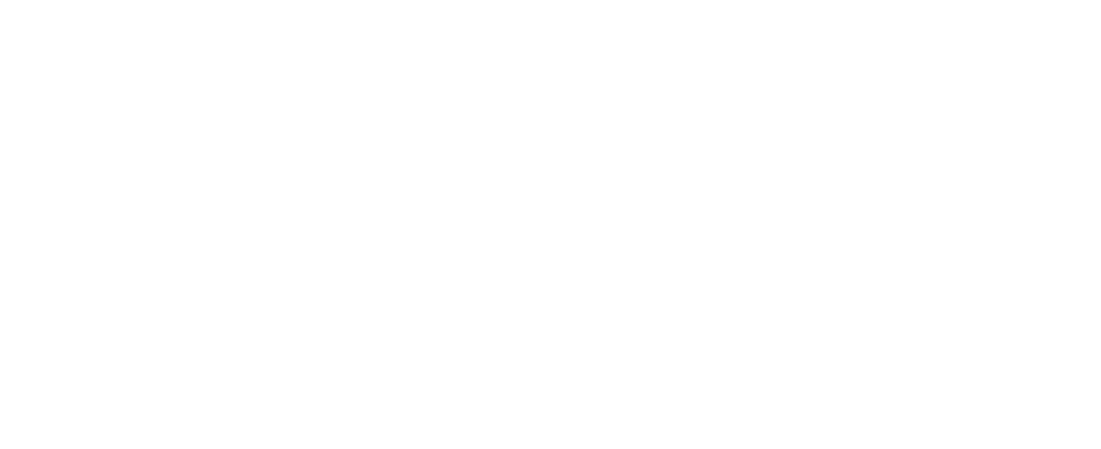 digiserb-logo-white